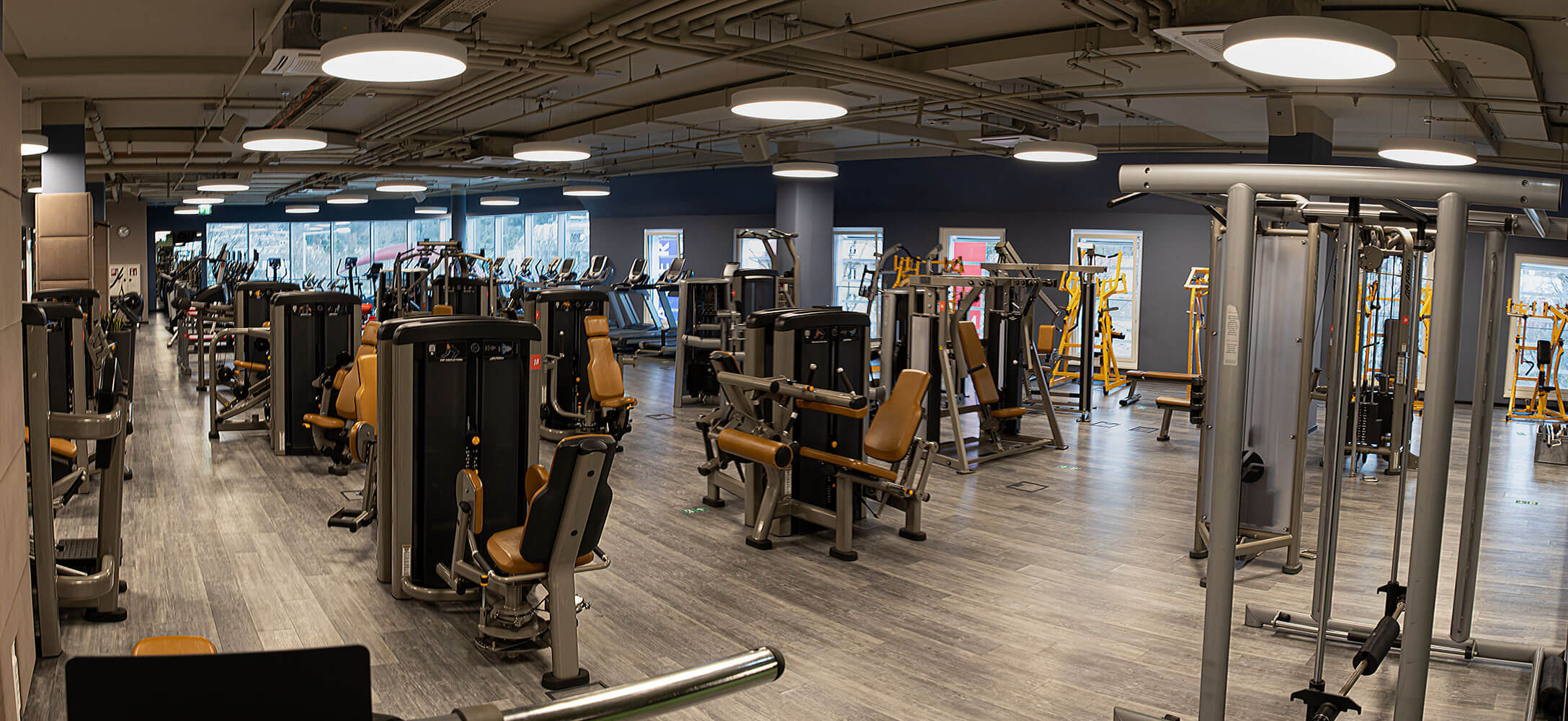 LifeLine Fitness & Sun-Studio GmbH - Bild 1